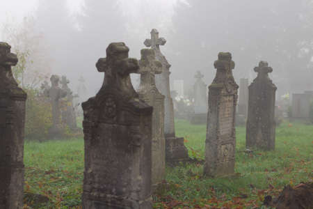 Old gravestones in a misty cemeteryの写真素材