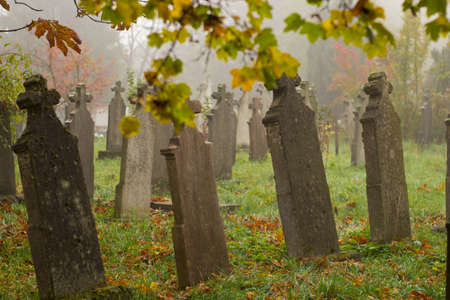 Old gravestones