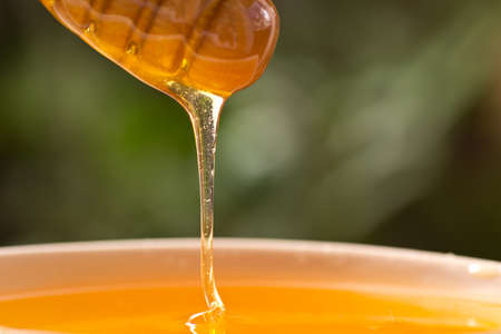 Dripping honeyの写真素材