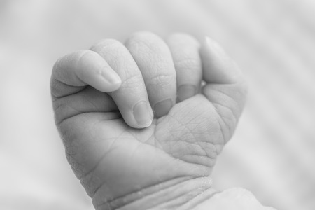 Close-up of a newborn's hand, 5 days old babyの写真素材