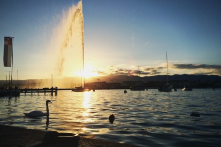 Geneva lake and fountain at sunsetの素材