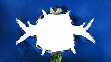 Maine state flag with a big hole, white background, 3d rendering