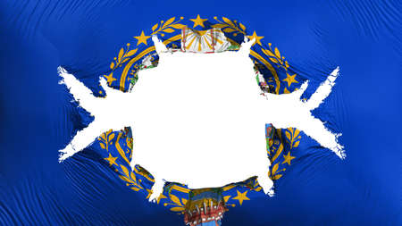 New Hampshire state flag with a big hole, white background, 3d renderingの写真素材