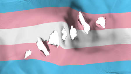 Transgender pride flag perforated, bullet holes, white background, 3d renderingの写真素材