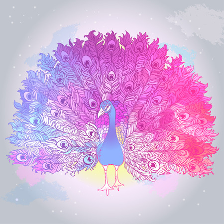 Vector Beautiful Hand drawn Ornament Peacock bird consist many details.のイラスト素材