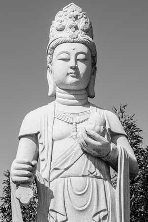 buddhasの写真素材