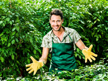 farmer at workの写真素材