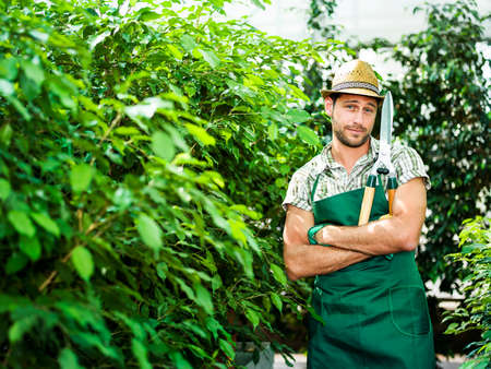 farmer at work in a greenhouseの写真素材