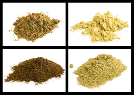spice powder of mustard, coriander, fennel, celeryの写真素材