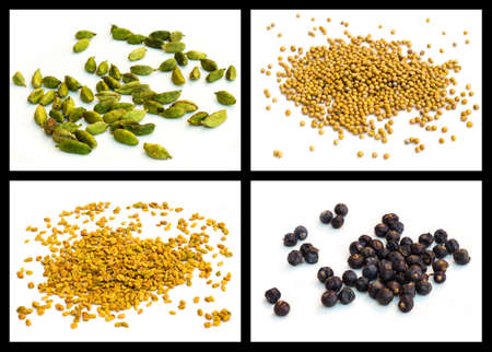 spice powder of Yellow mustard seed, seed of hay greek, cardamom, juniperの写真素材