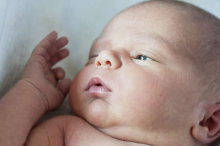 newborn lying comfortable on white background watching awayの写真素材