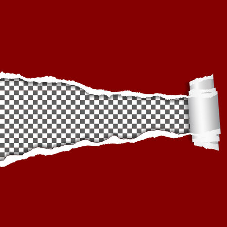 Torn paper with space for your own text. Vector illustration.のイラスト素材