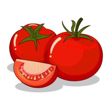 Cartoon Two Whole Tomato and One Slice Tomatoのイラスト素材