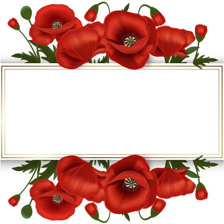 Red poppies on a white background with a place for textのイラスト素材