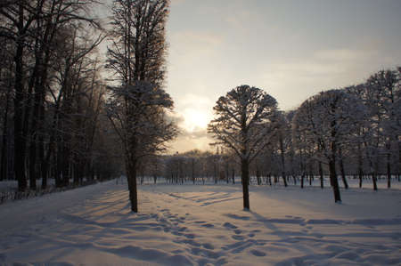 Archangelskoye, Russia - January 3, 2011: Winter outdoor parkのeditorial素材