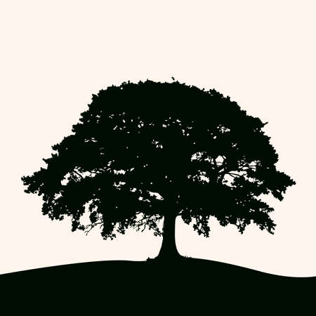 Vector illustration, silhouette of a lush tree at sunrise. Large tree on the lawn.のイラスト素材