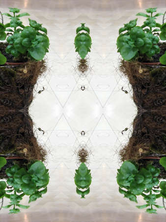 An abstract floral background. Green and colorful illustrationの写真素材