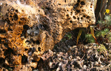 Spreading water on a big rock with holes