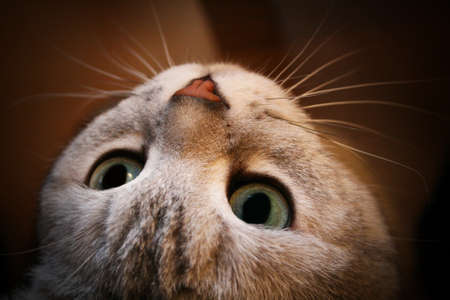What's up?の写真素材