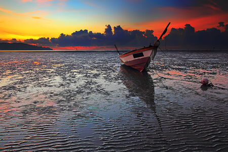Morning on the beachの写真素材