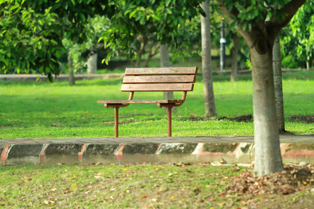 bench in the parkの写真素材