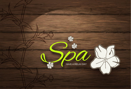 Spa Resort or Beauty Business Background. Eco Design. Wood Texture. Vector illustrationのイラスト素材
