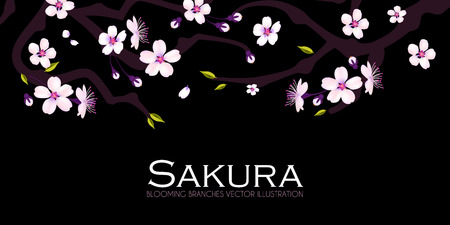 Cherry Blossom. Blooming Sakura Branches with Flowers, Bods, Petals. Vector illustrationのイラスト素材