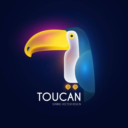 Toucan bird cartoon character. Shining tropic icon.のイラスト素材