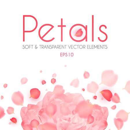 Flying petals abstract background with blossom peony flower. Cosmetics, wedding and fashion background. Soft romagic blooming wind.のイラスト素材