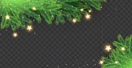 Christmas ralistic fir tree branches, stars and lights.のイラスト素材