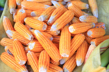 Indian corn shop in Sri lanka