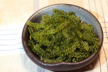 sea grapes  Caulerpa lentillifera  in Japanの写真素材
