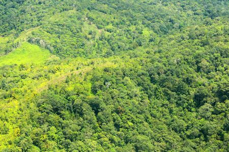 mountain of Borneo Aerial Shoot