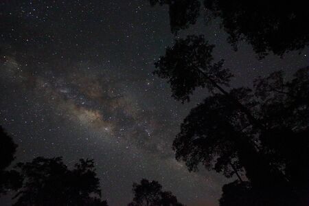 Beautiful milky way of Borneo, Malaysiaの写真素材
