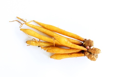 Fresh fingerroot on a white background, itï¿½s considered both a medicinal and a culinary herb.の写真素材