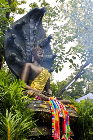 The Saturday Buddha sits in a position of meditation on the coiled body of the serpent with incense smoke from worship of the peopleの写真素材