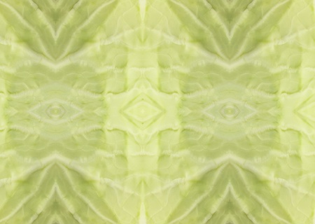 Pattern of fresh cabbage, can apply for background images.の写真素材