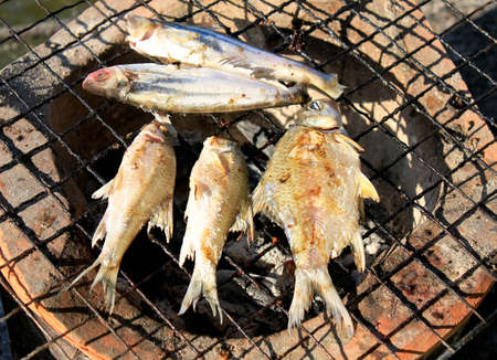 Fresh fish grilled on a stove with ember charcoal の写真素材