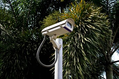 The CCTV Camera with garden backgroundの写真素材