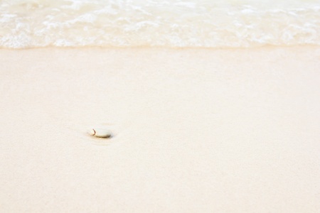 Stone in the white sand and the ocean wave behind it, focus on stone の写真素材