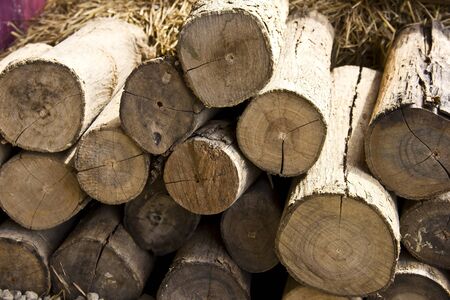 The stack of firewood on a straw in background の写真素材