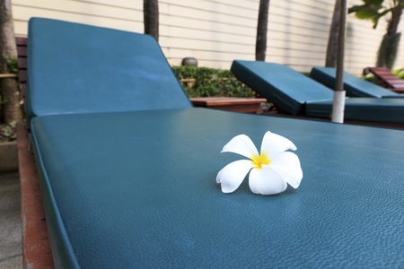 Frangipani flower on sunbed, focus on the flower  Can be used for tourism promotion の写真素材