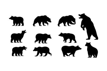 various bear silhouettes on the white background, bear icon setのイラスト素材