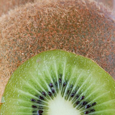 kiwiの写真素材