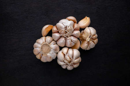 organic garlic on dark backgroundの写真素材