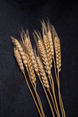 Ears of wheat on black background woodem textureの写真素材