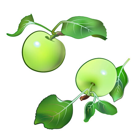 applesのイラスト素材