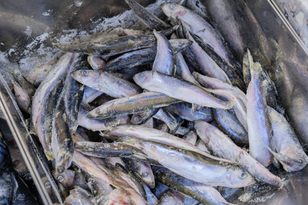 Frozen fish in the freezer