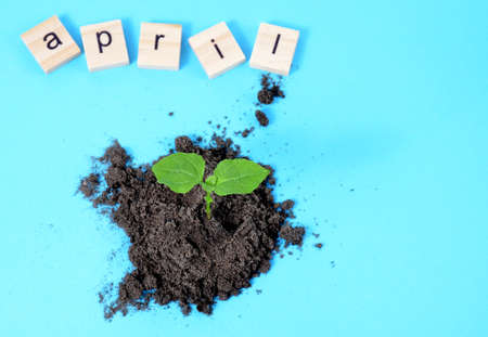 Spring month April month written in wooden letters on light blue background Calendar. Small sprout on a blue background.の写真素材