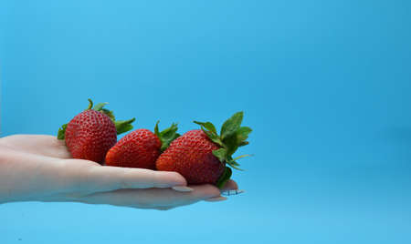 Woman holding fresh seasonal strawberries in her hands, close-up.の写真素材